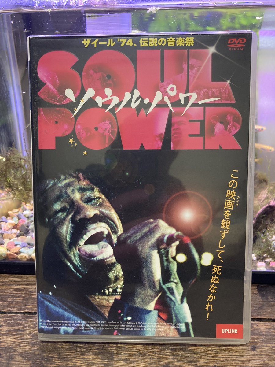 Tatto01's tweet photo. 今日の一枚。
ソウル・パワー
ザイール74、伝説の音楽祭

1974年。ザイール。モハメド・アリ対ジョージ・フォアマンの世紀の一戦、キンシャサの奇跡にさきがけ、ブラックウッドストックとも呼ばれる世界最強音楽祭、ザイール74が行われた。

JB、ビル・ウィザース、etc. https://t.co/MSAqmTdrPe