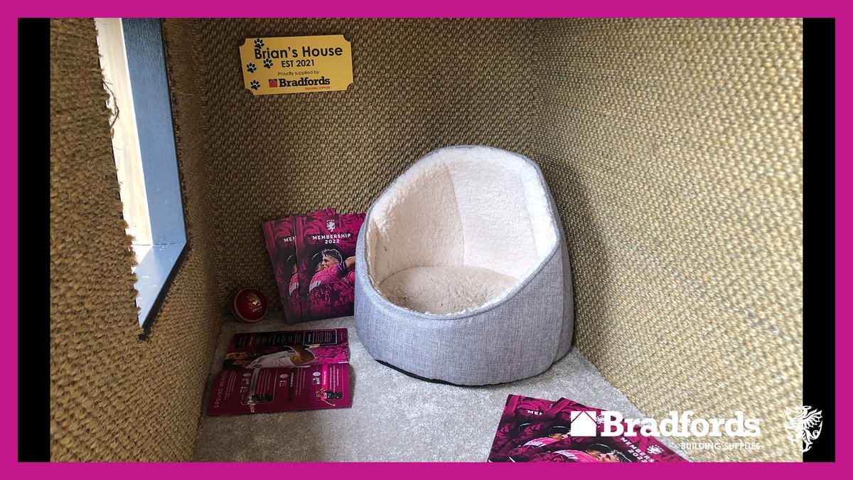 SomersetCCC's tweet image. We are delighted to unveil our latest building development at the CACG, a permanent house outside the Andy Caddick Pavilion for @SCCCBrianTheCat 🐈

#WeAreSomerset 
@Bradfords_Build