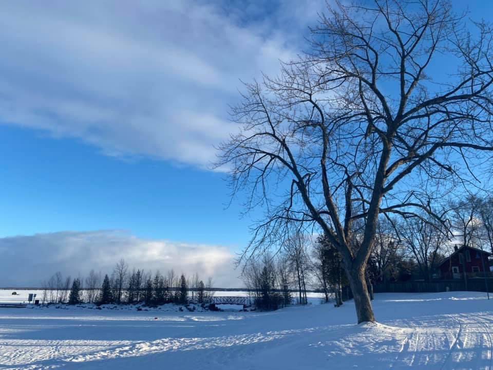 SmileTurn1's tweet photo. Pics I took on this date last year
Lake simcoe #feb2021 https://t.co/pPsz3tKsya