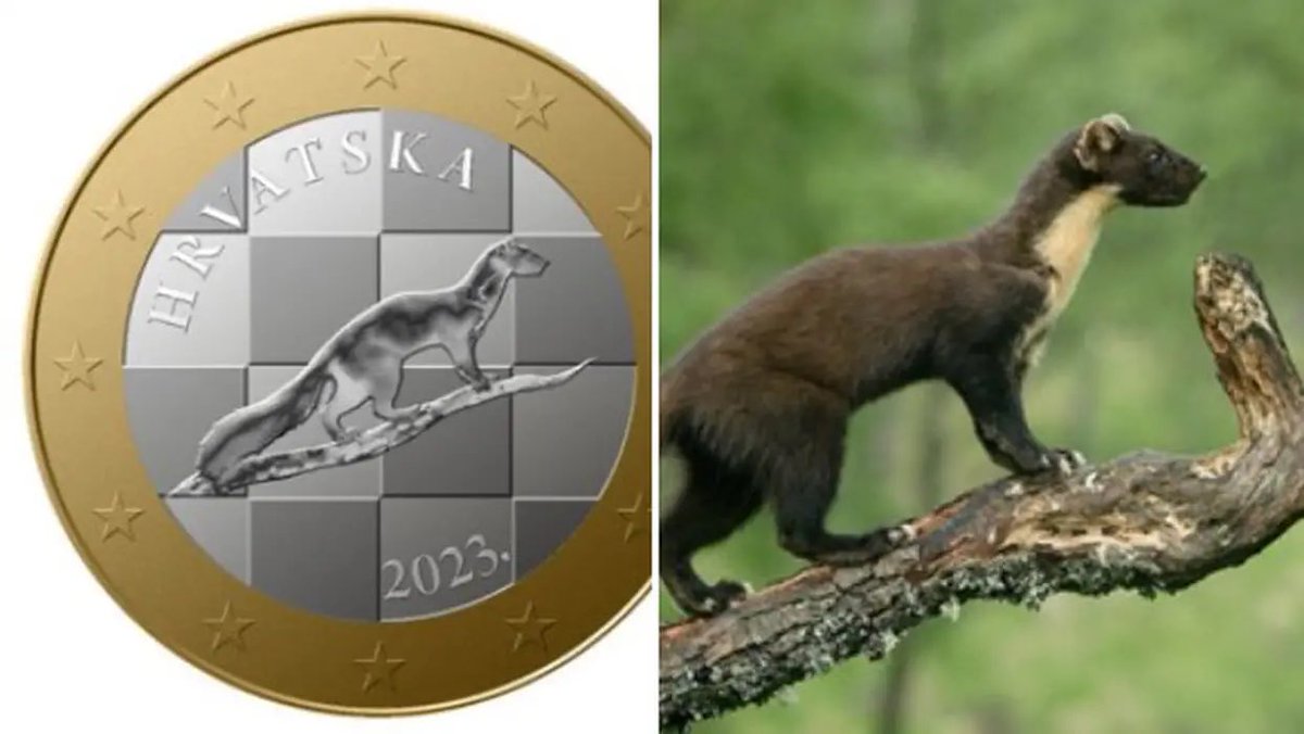 Letzte Woche noch von Premier Plenković gelobt, zog der ‚Designer‘ der kroatischen Euro-Münze seinen (preisgekrönten) Entwurf nun zurück. Er hatte schlichtweg den Marder (Kuna) von einem Foto aus dem Internet kopiert. Foto <a href="/24sata_HR/">24sata</a>