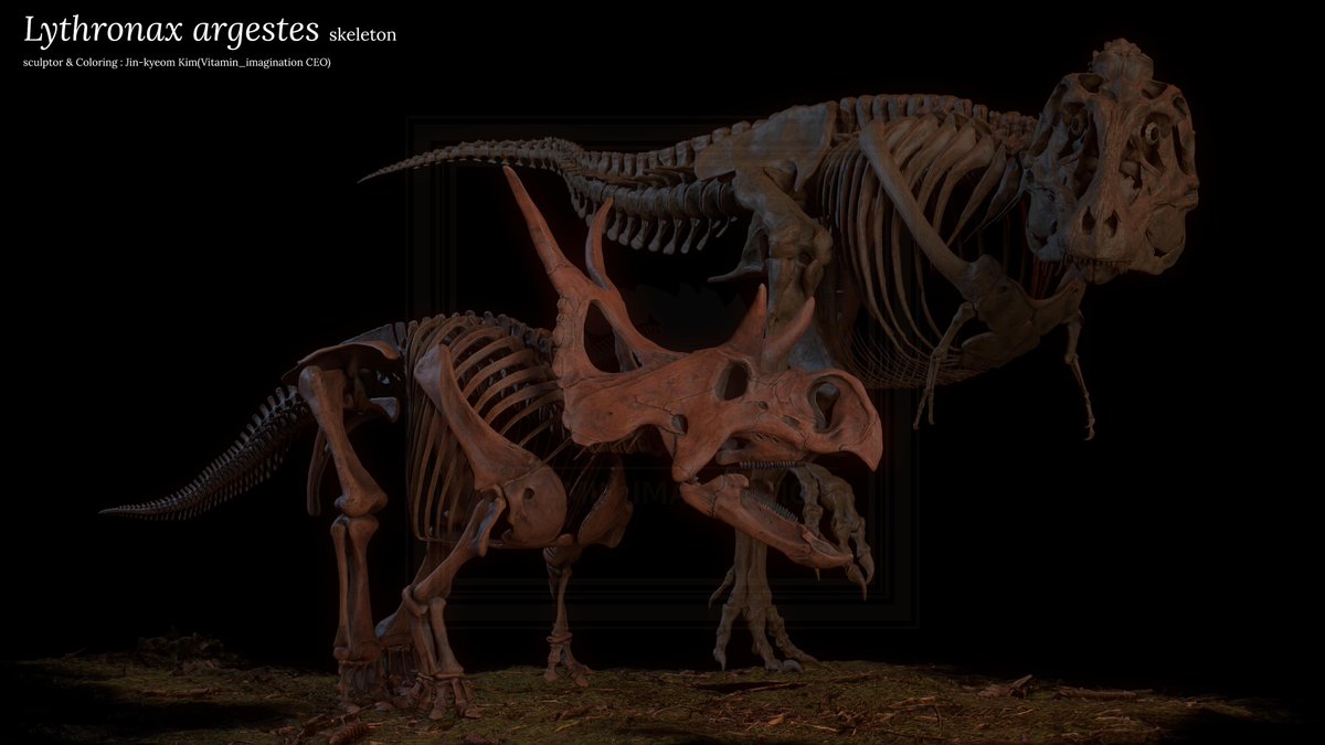 vitaimagination's tweet photo. 리트로낙스 아르게스테스 Lythronax argestes 골격 완성
같은 시기에 살았던 라이벌 각룡으로는 디아블로케라톱스와 마카이로케라톱스가 있다.
#리트로낙스 #리트로낙스아르게스테스 #Lythronax #Lythronaxargestes #디아블로케라톱스 #Diabloceratops #마카이로케라톱스 #Machairoceratops https://t.co/foMDo5Jtr5