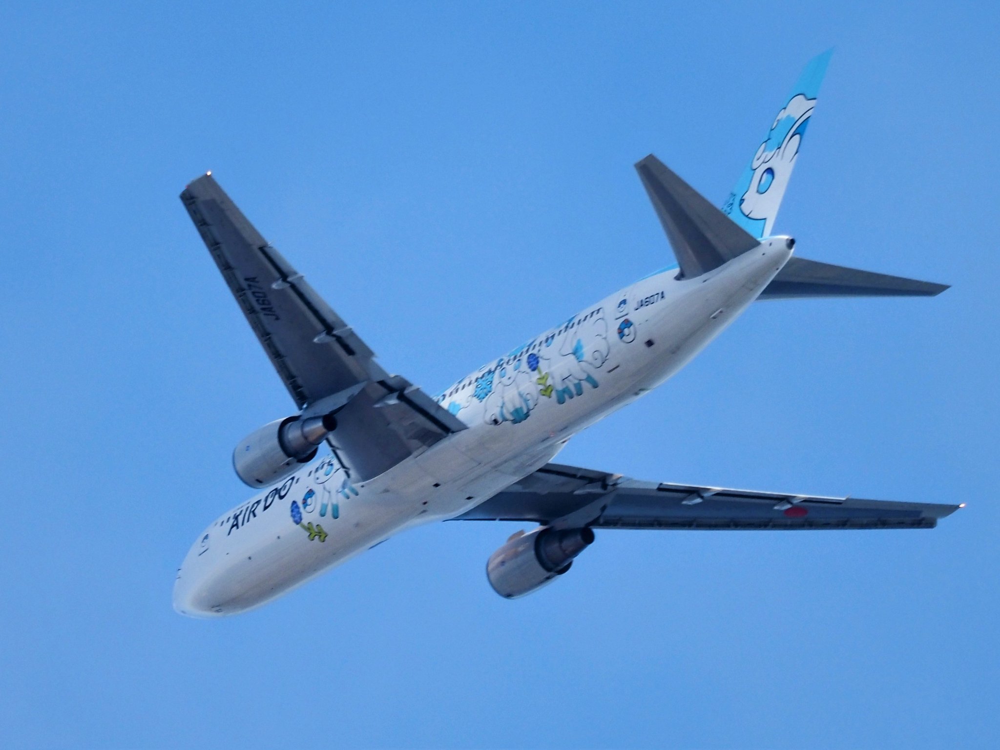 きーちゃん ロコンジェット北海道 Airdo T Co Rgi6lenptl Twitter