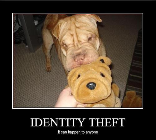 IdentityEvolved's tweet photo. Good morning we hope you all have a great week!
It's  #MemeMonday
#evolvedidentity #iam #idrm https://t.co/HwG3AUJ0SE