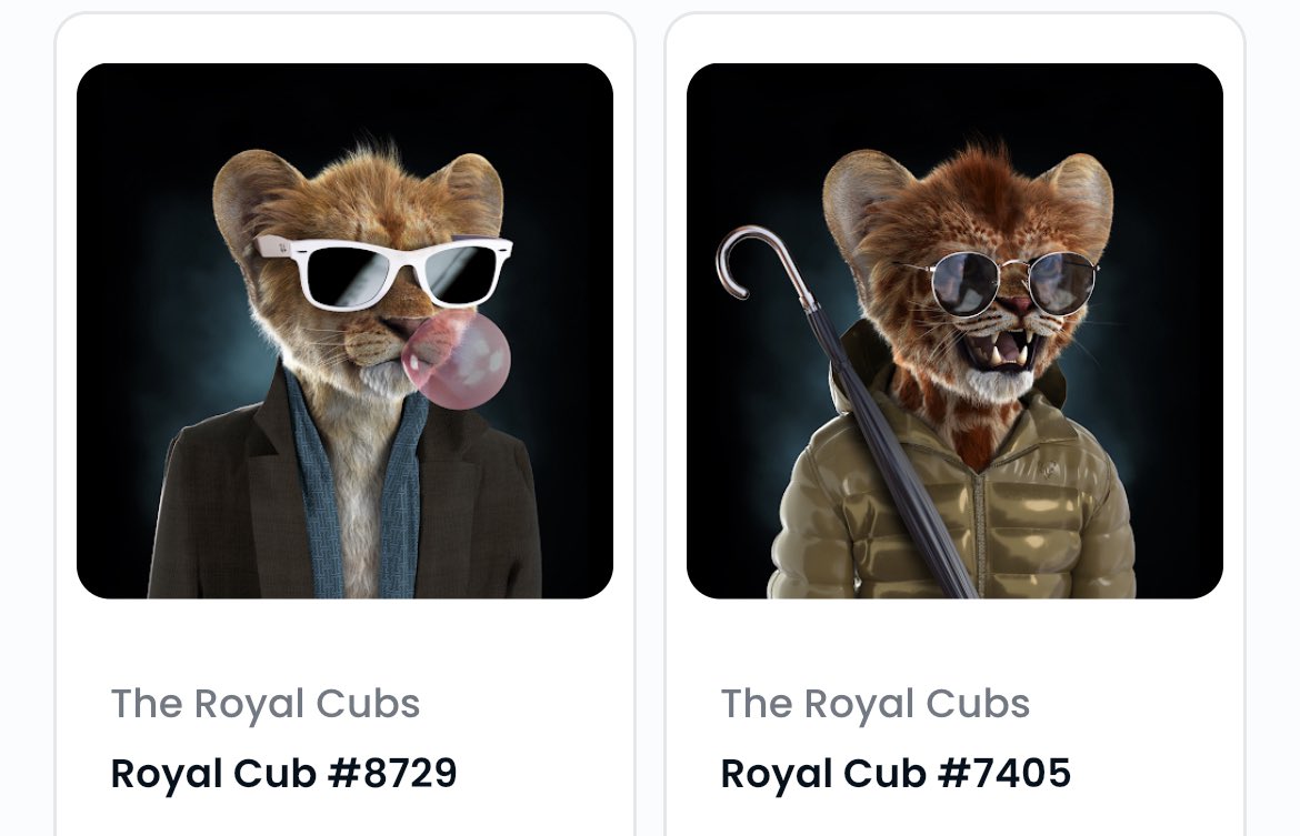 Misternutella7's tweet photo. @BrokeBennie @TheRoyalCubs Here we are! ROARRRR🦁💪

#NFT #NFTCollection #NFTCommunity #RoyalCubs #CubsFollowCubs https://t.co/aqpQZqB8mL