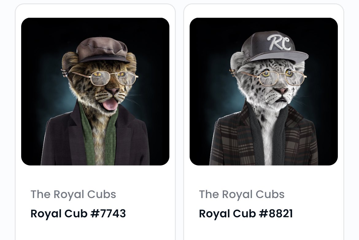 Misternutella7's tweet photo. @BrokeBennie @TheRoyalCubs Here we are! ROARRRR🦁💪

#NFT #NFTCollection #NFTCommunity #RoyalCubs #CubsFollowCubs https://t.co/aqpQZqB8mL