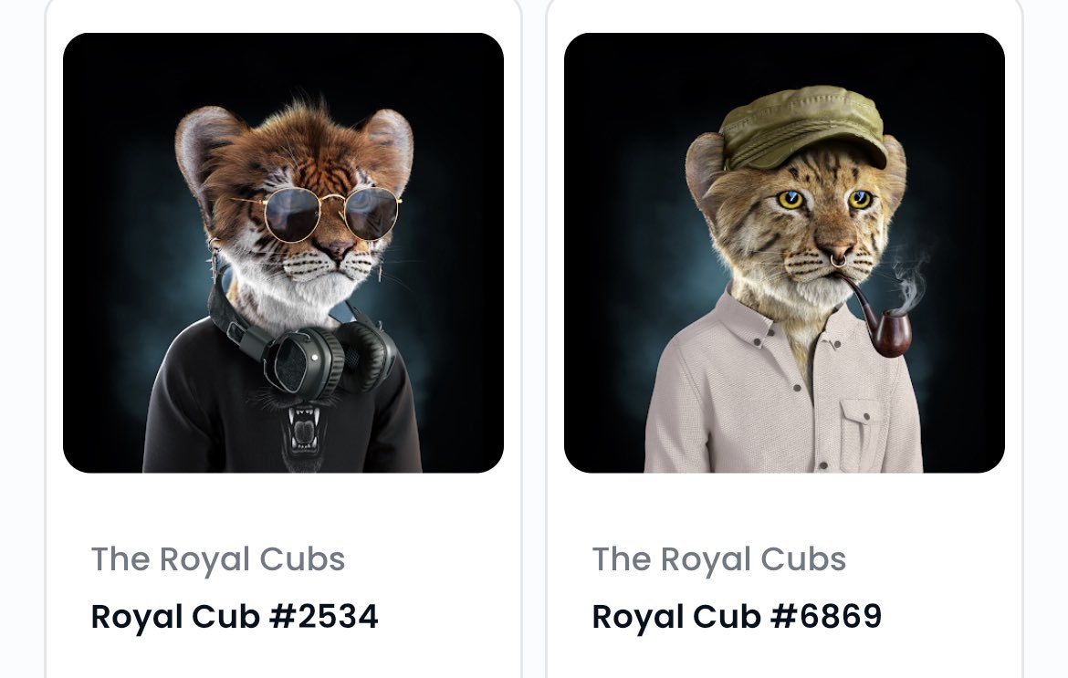 Misternutella7's tweet photo. @BrokeBennie @TheRoyalCubs Here we are! ROARRRR🦁💪

#NFT #NFTCollection #NFTCommunity #RoyalCubs #CubsFollowCubs https://t.co/aqpQZqB8mL