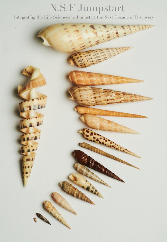 This just out!
ICB's <a href="/NSF/">U.S. National Science Foundation</a> Jumpstart issue

academic.oup.com/icb/issue

authors including
 <a href="/LangenTom/">Tom Langen</a> 
 <a href="/scimaven/">Mandë Holford</a> 
<a href="/KonowLab/">Nicolai Konow</a> 
 <a href="/ProfessorKira/">Kira McEntire</a> 

&amp; AEs including 
<a href="/k_wilsterman/">kate wilsterman</a> 
 @SLailvaux 
@UlrikeKMuller 
 @N_BURNETT 
<a href="/Cori_Zawacki/">Corinne Zawacki</a>  
&amp; more

#biology #sciencetwitter #scientist