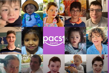 Desde <a href="/FEDER_ONG/">FEDER | Enfermedades Raras</a>, comprometidos con las familias que conviven con PACS1 en el Día para la concienciación de este síndrome

enfermedades-raras.org/index.php/actu…