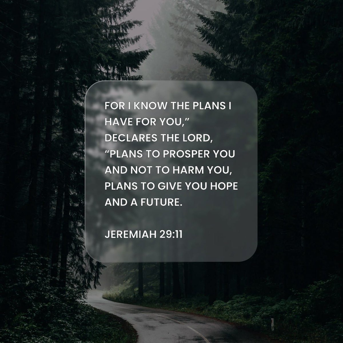 YouVersion Bible App tweet media