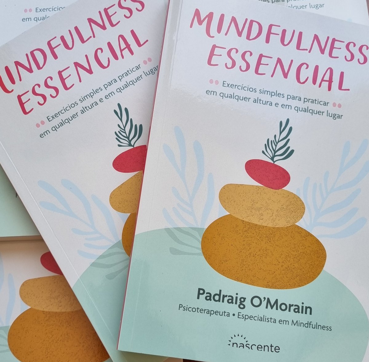 PadraigOMorain's tweet photo. What a lovely surprise in my post box this morning - the second edition of Nascente's translation to Portuguese of my 'Mindfulness on the Go'. Thank you. 🙏 😊

#mindfulness #mindfulnessonthego #mindful #calm #mentalhealth #mindfulnesscoach #mindfulnessforbeginners https://t.co/N2pNjaLu3f