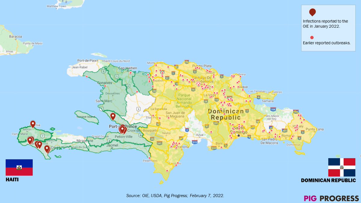 Update on the #ASF situation in Haiti 🇭🇹 and the Dominican Republic 🇩🇴. Several infected #pigs were found in Haiti's capital Port-au-Prince. Meanwhile, the Dominican Republic can now test for African #Swine Fever itself.

Read the story in <a href="/PigProgress/">PigProgress.net</a> ⏩ bit.ly/3GyVW27