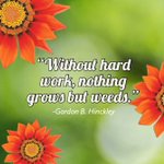 Photo by 3C Solutions, LLC (@llc_3c)