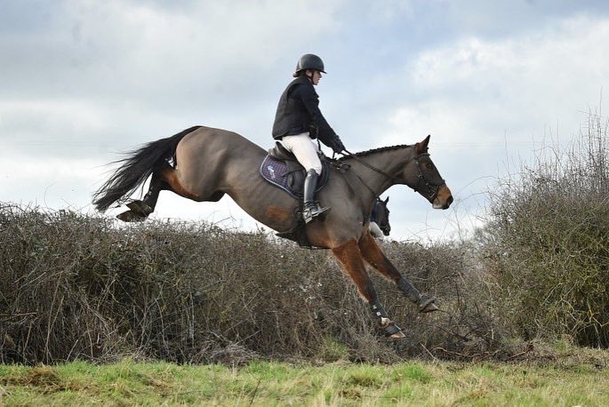 GEWeventing's tweet photo. Flying with the Staff College Drag yesterday 😍
Hudson has found his new favourite thing - galloping &amp; jumping with friends 🥰
He even gave a lead over a couple of little hedges https://t.co/0Z9xQ7uSol