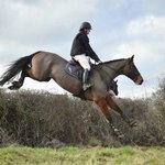 Photo by Georgie Wood (@GEWeventing)