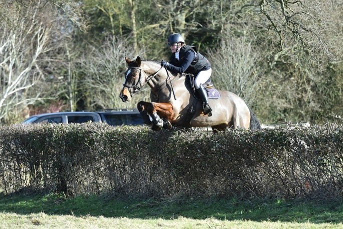 Flying with the Staff College Drag yesterday 😍
Hudson has found his new favourite thing - galloping &amp; jumping with friends 🥰
He even gave a lead over a couple of little hedges