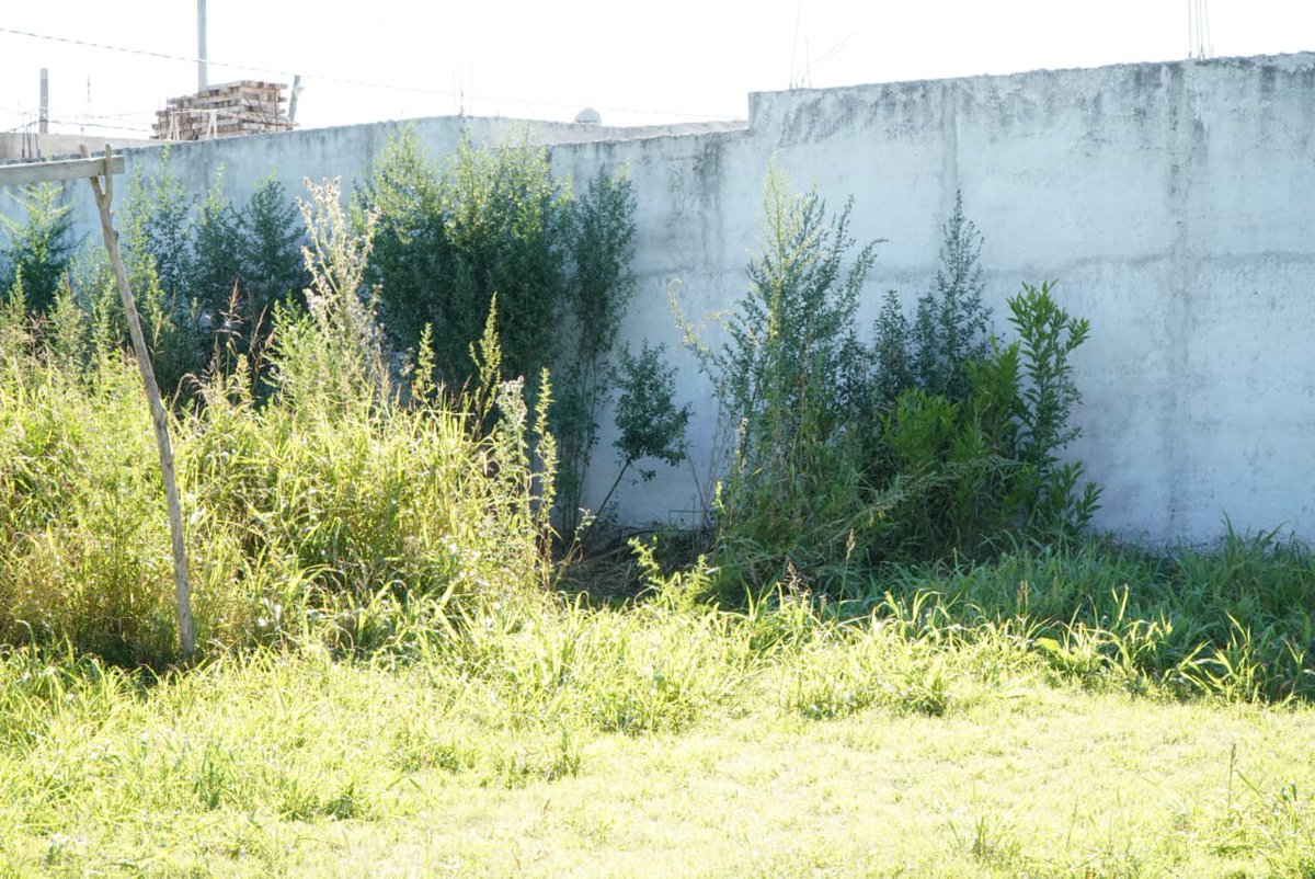 ▶️ÚLTIMO MOMENTO - Hallan el cuerpo de una persona sin vida en inmediaciones de barrio Limay

En horas de la medianoche, un vecino realizó un llamado a la policía denunciando sobre la presencia de un cuerpo sin vida. El cadáver fue encontrado en calle Juan Islas al 1400.