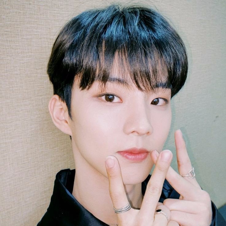 doll kyu (@dolljcm) on Twitter photo 