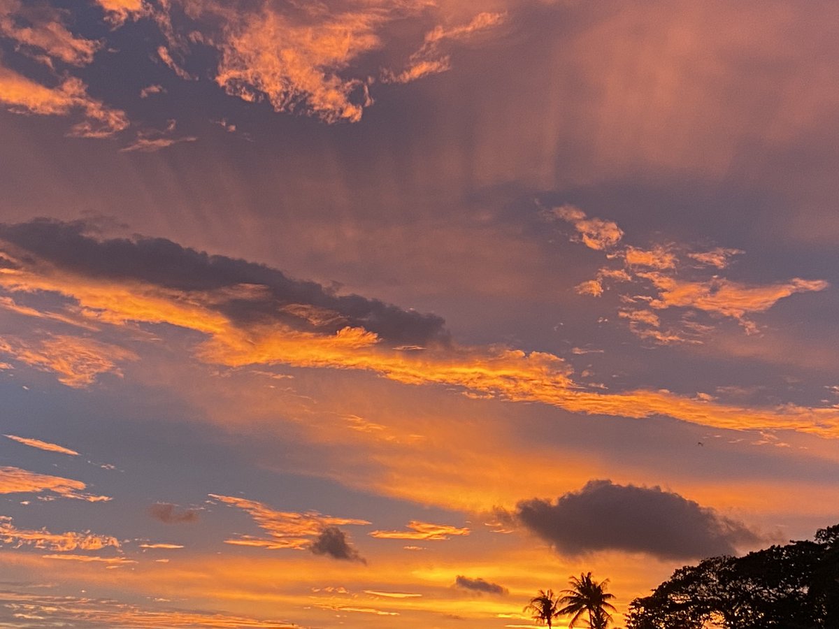 MindfulTeens's tweet photo. In awe of the glory and magnificence I witnessed this evening! Sometimes, all we need to do is look up, look below, or look around, to witness magic and miracles!  #awe #awewalk #appreciation #positiveemotions #magnificence #sunset #miracleofnature #glory #be #believe #breathe https://t.co/fInuZ277rS