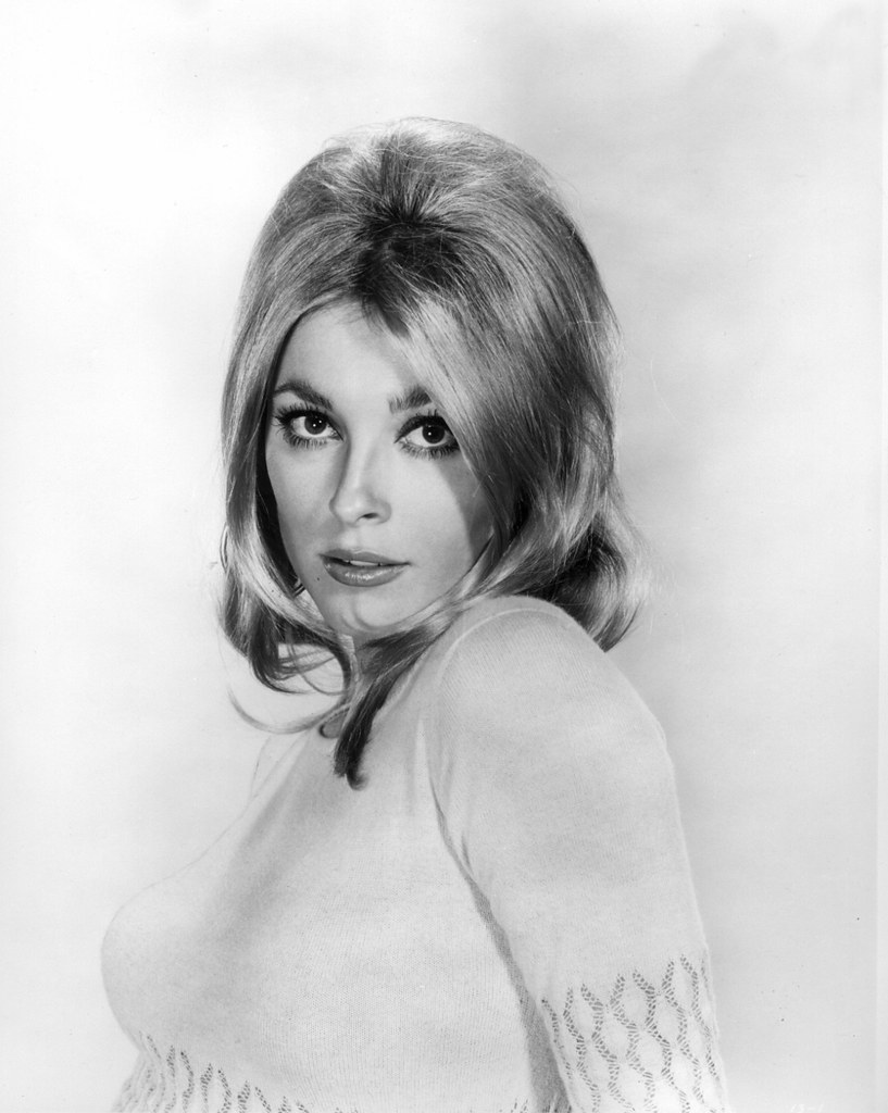 StarforSharon's tweet photo. Sharon Tate photographed by Virgil Apger for Filmways inc. — 1965. https://t.co/QeL0kWGZSt