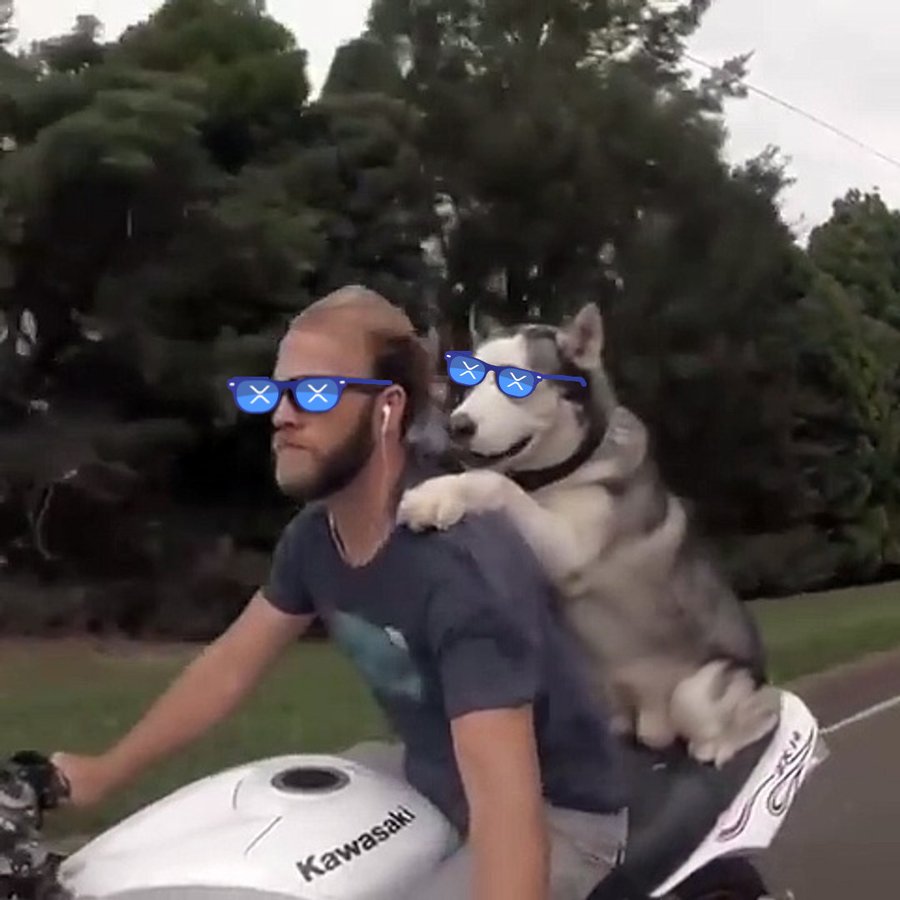 joniharps's tweet photo. @XRdoge @xrpstik Letttssss Goooooooo #xrdoge https://t.co/zyslK6jcUC