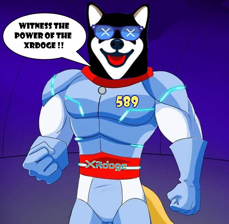 joniharps's tweet photo. @XRdoge #xrdoge army follow and stay connected. Let the community grow https://t.co/eMyiJ46gc3