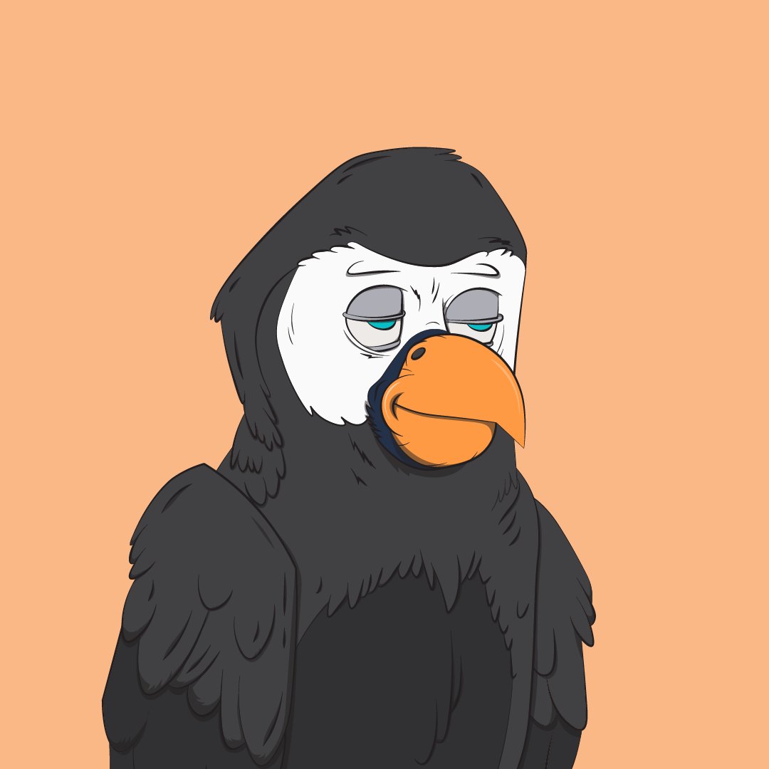 Bored Macaw Sol Club tweet media