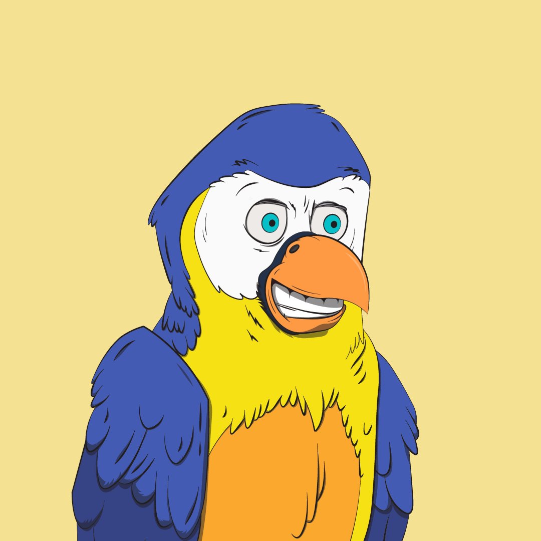 Bored Macaw Sol Club tweet media