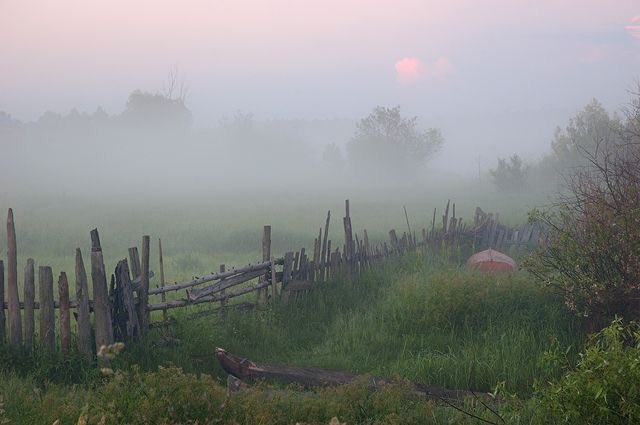 Angel's Whisper tweet media