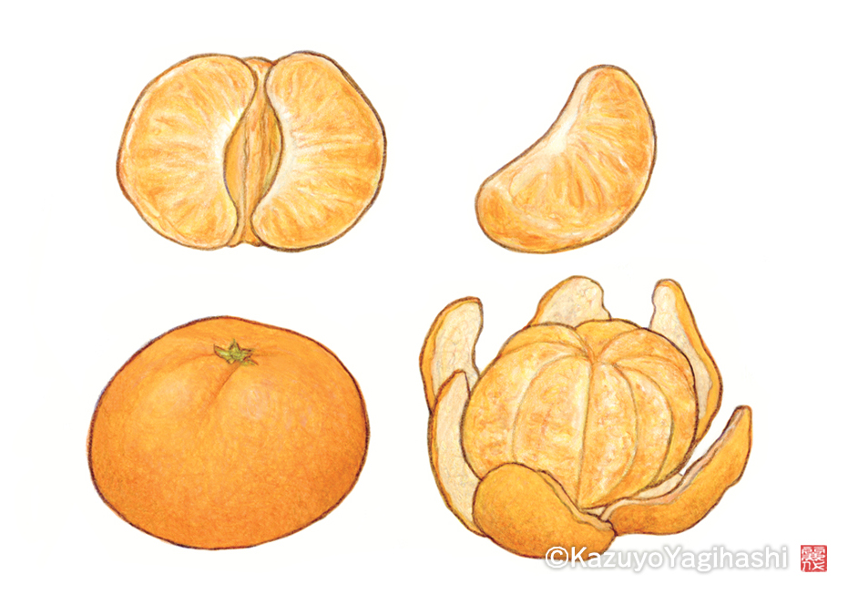 八木橋かずよ on X