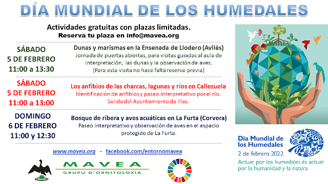 iesvalledealler's tweet photo. #diamundialdeloshumedales #Mavea 2 de febrero Día Mundial de los Humedales. Actividades para conocer los humedales de Asturias y disfrutar en familia con #Mavea el sábado 5 y el domingo 6. https://t.co/xvmo5M6gML https://t.co/TK8Ym195DE
