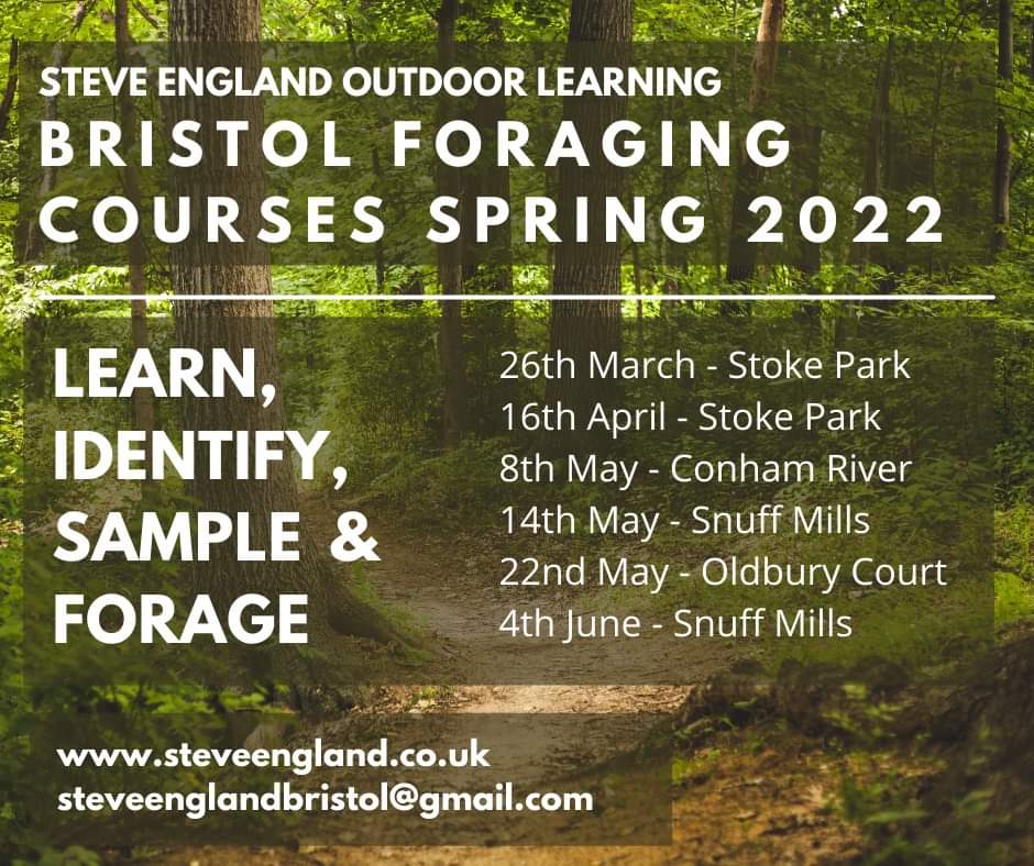 Brand new #foraging courses in #Bristol this year #bristolforaging  <a href="/UWE_GEM/">UWE GEM</a> #wildfoods massive thanks to <a href="/emshimell/">Emily Shimell</a>  amazing admin support, <a href="/OnBristol/">Whats on Bristol</a> please Rt