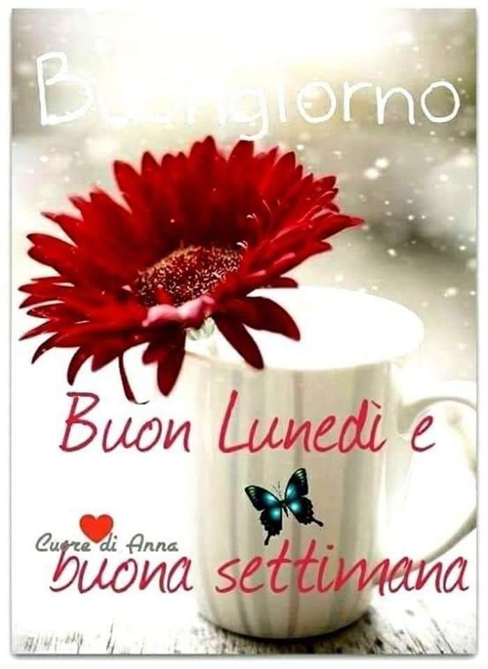 Lucatreviso20's tweet photo. Buon giorno buon #inzio di settimana #buon #lunedì mattina di cuore https://t.co/XgWICEbRTV