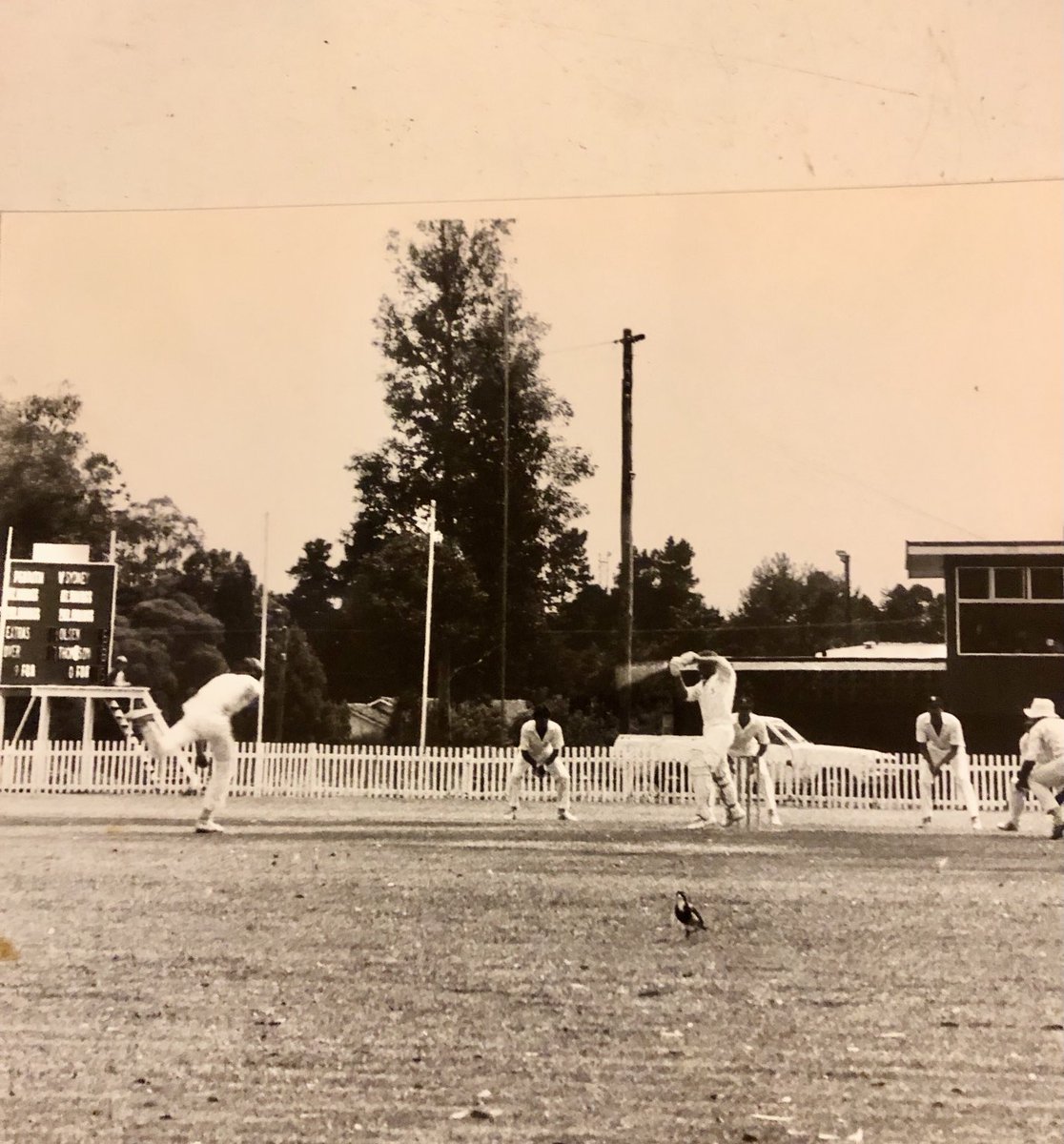 Off the back foot for 4 v ⁦<a href="/PenrithCC/">Penrith Cricket Club</a>⁩ at Howell 1984 ⁦<a href="/MattMaco/">Matt Macoustra</a>⁩ ⁦<a href="/bjrobinson80/">benjamin j robinson</a>⁩ ⁦<a href="/michaelhaire2/">Michael Haire</a>⁩ ⁦@SanjeewaKUK⁩ ⁦<a href="/1randallstevens/">Joshua Toth</a>⁩