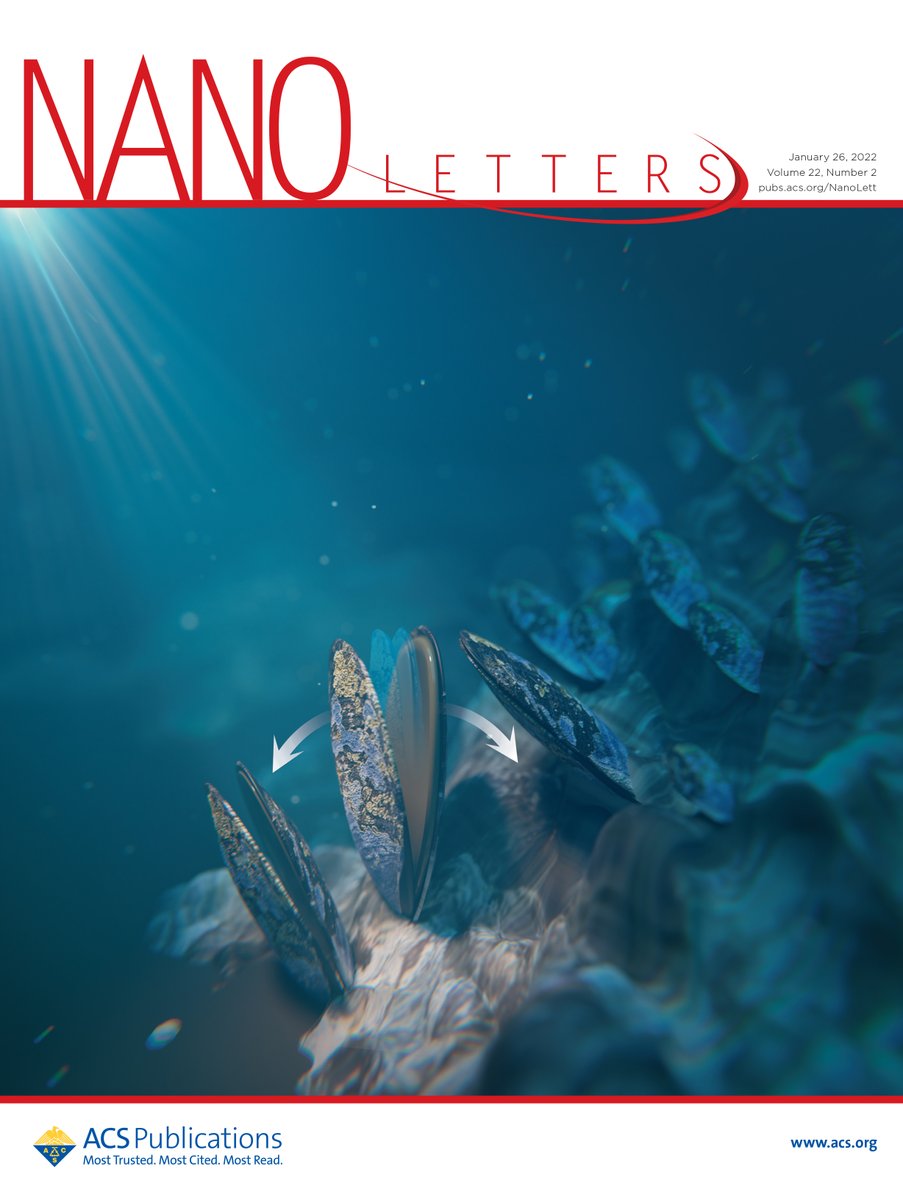 WeilTanja's tweet image. I am very proud of our joint paper with our collaborators at AMU Poznan on ultrafast moving polydopamine films. Well done Tommaso (@TheFixator) and @SynatschkeLab.  We even got on the cover of @nanoletters, made possibly by @mpi_polymer graphics designer Katharina.