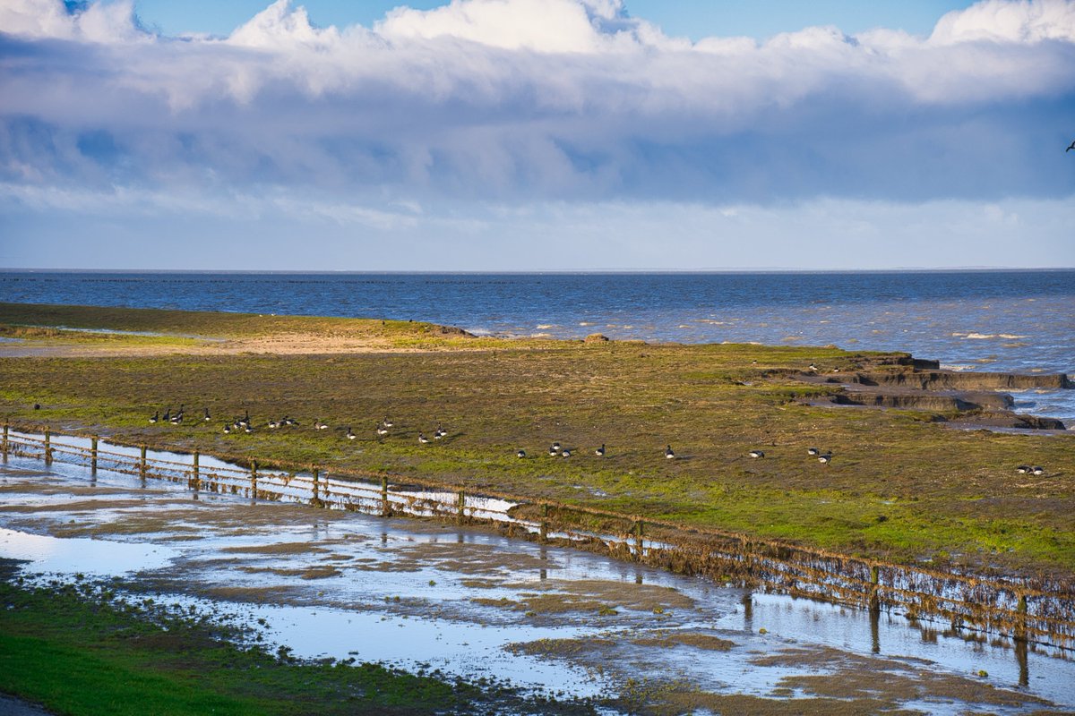 Storm? Bijna windstil op de Waddenzee bij #Wierum.
#corrie #weer #weerplaza #buienradar.