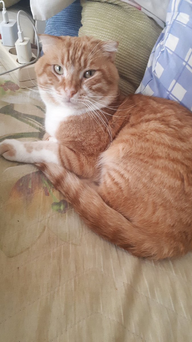 HalimeAk15's tweet photo. @dilekdodi Tunaydinnnn 😂😂 biraz geç oldu  yakışıklım da sana hep gülümse güzel insan diyor 🤗🤗🌷💙 mutlu haftalar canım 🤗☕ https://t.co/j2Qs0aDDr5