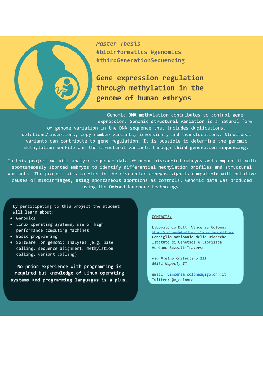 v_colonna's tweet photo. Exciting opportunity for #master thesis students to work in #Genomics and #Bioinformatics on a cool project on #methylation in human embryo! please retweet! @CnrIgb https://t.co/SRSQmojweP