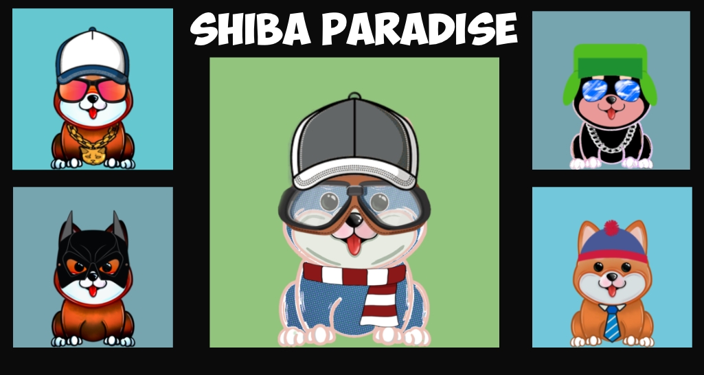 #SHIPA are you ready to Rise?