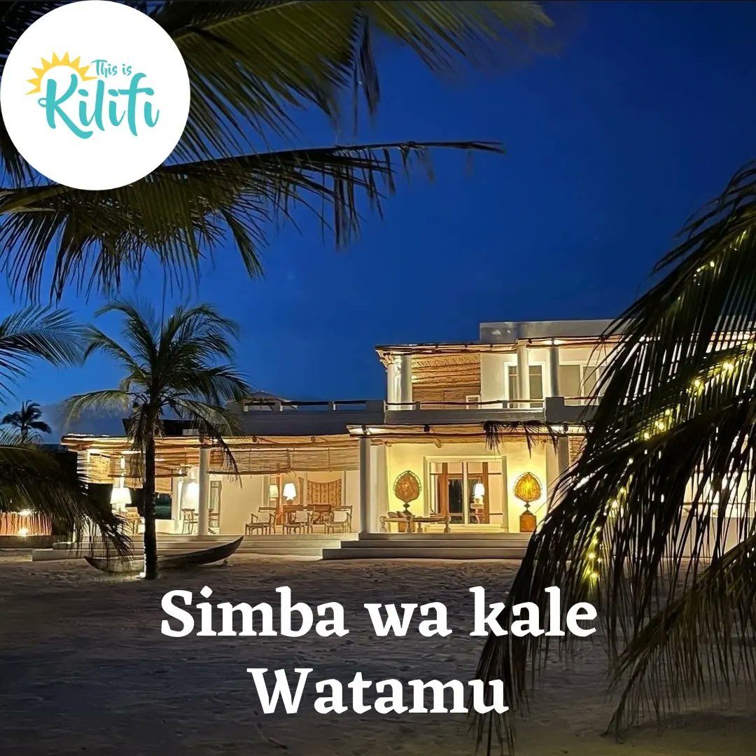 This is Kilifi tweet media