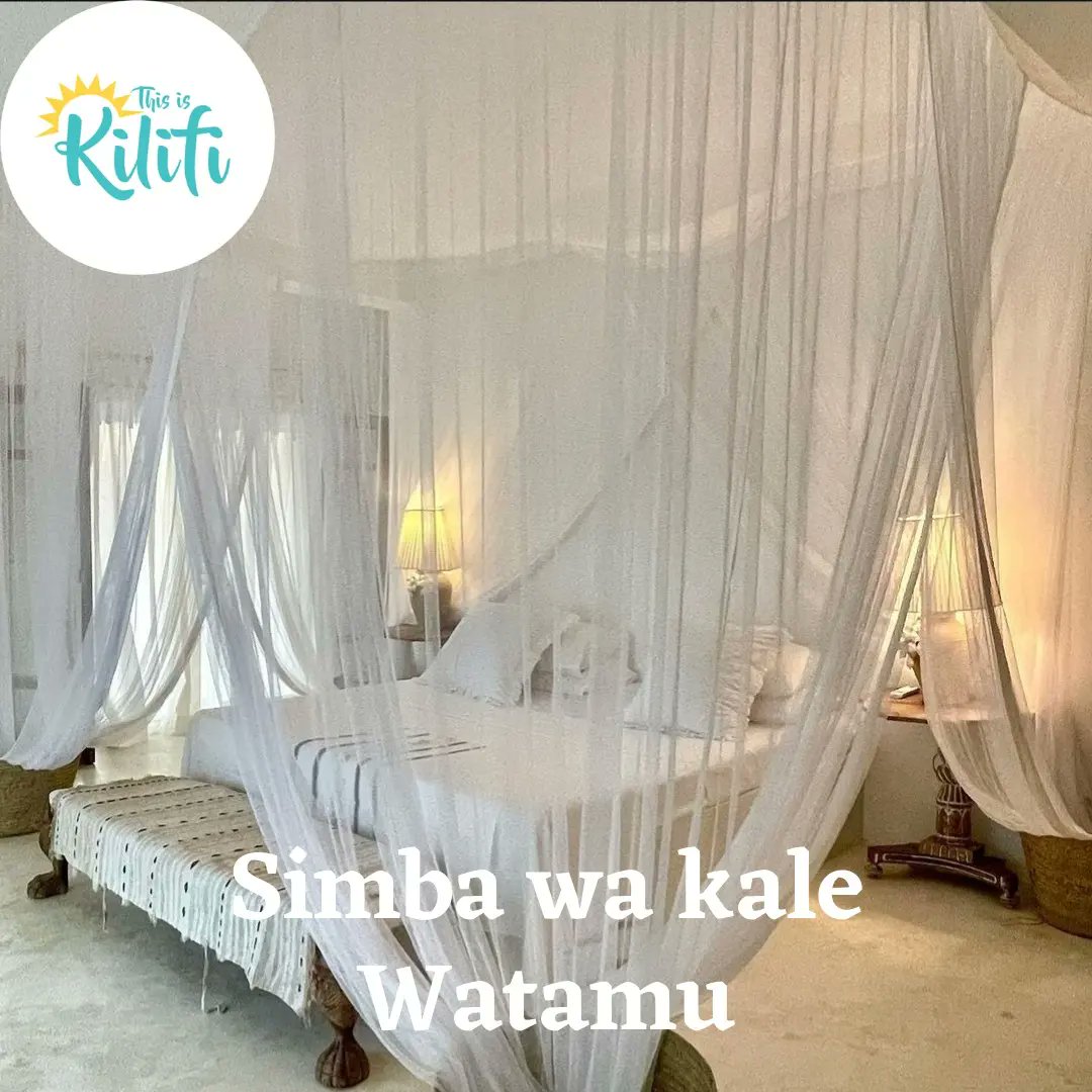 We're counting down to valentine's. How many of you would love to wake up here on the 15th of February?

Make your bookings at Simba wa kale beach resort in Watamu

#thisiskilifi