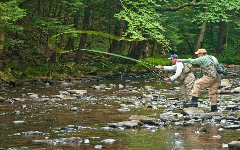 TrueAnglers Montana tweet media