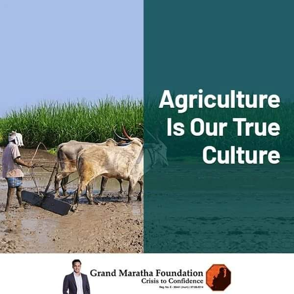 grandmaratha's tweet image. Strong Communities Are Built Around Local, Real Food.
"Food We Trust To Nourish Our Bodies, The Farmers &amp;amp; The Planet" - Kimbal Musk #vocalforlocal
Follow GMF, To Show Your Love &amp;amp; Support To The Local Farmer &amp;amp; SME's.#grandmarathafoundation #supportfarmer #savefarmers #Indianfarmer
