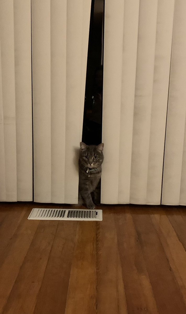 Richelle tweet media