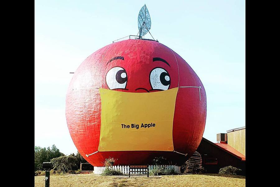 yudusac's tweet photo. Your big apple vs mine https://t.co/XvMk1sfK9N