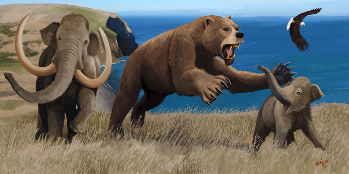 Hodari Shadowalker ❄️🐆 tweet media