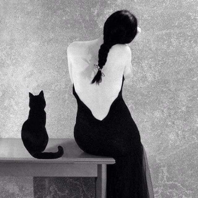 🪄 Fe_derica ✨◕ ‿ ◕✨ tweet media