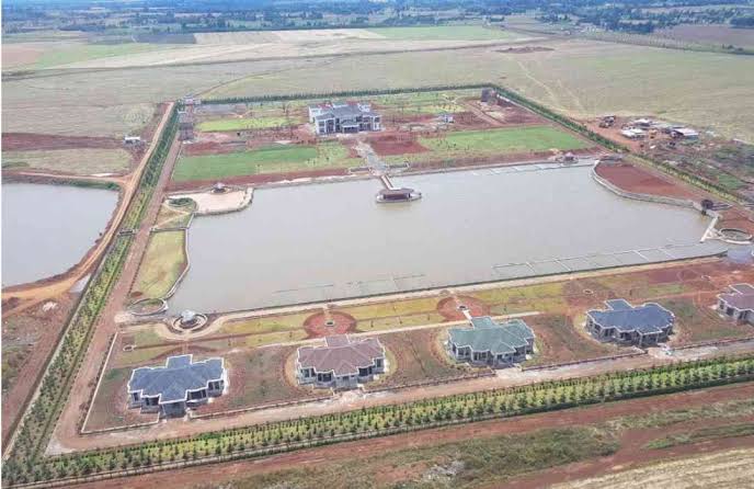 Lord Abraham Mutai tweet media