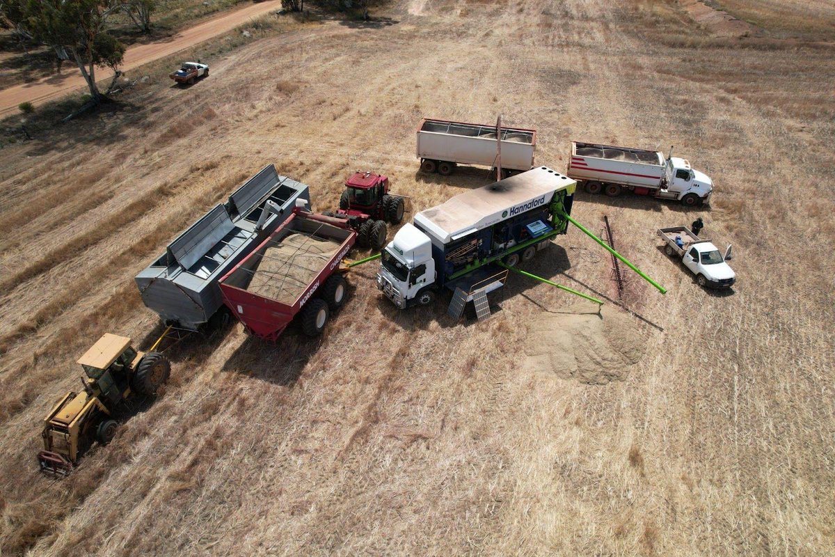 Hannaford_aus's tweet photo. Hannaford franchisees have been flat out #seedgrading with #harvest21 finishing up around Australia! 🌾 Many #growers choose to clean seed straight from the #paddock, making #harvesttime pretty busy 👍
#hannaford #wherethelocalsgo #australianfarmers https://t.co/Iwsmj66DDt