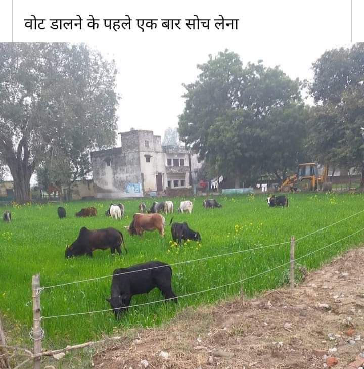 सभी #बीएडटेट2011 वालों👇

#BEDTET2011संगठन इस बार विधानसभा चुनाव में <a href="/yadavakhilesh/">Akhilesh Yadav</a> का भरपूर समर्थन करेगा साथ ही घर-घर जा कर #सपा के लिये समर्थन जुटाएगा।
अखिलेश जी ने खुले मंच से #बीएडटेट2011उत्तीर्ण अभ्यर्थियों की समस्याओं को सुलझाने और नियुक्ति का वादा किया है
#अखिलेश_आ_रहे_हैं