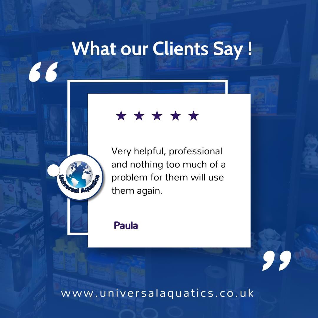 🙏 Thank you Paula for our latest Google review.🙏

Shop Now: universalaquatics.co.uk

#aquaticshopstaffordshire #aquaticshopstoke #aquaticshopuk #aquaticshop #coldwaterfishtank #coldwaterfish #tropicalfishtank #aquariumhobby #universalaquatics #freshwateraquarium #freshwater